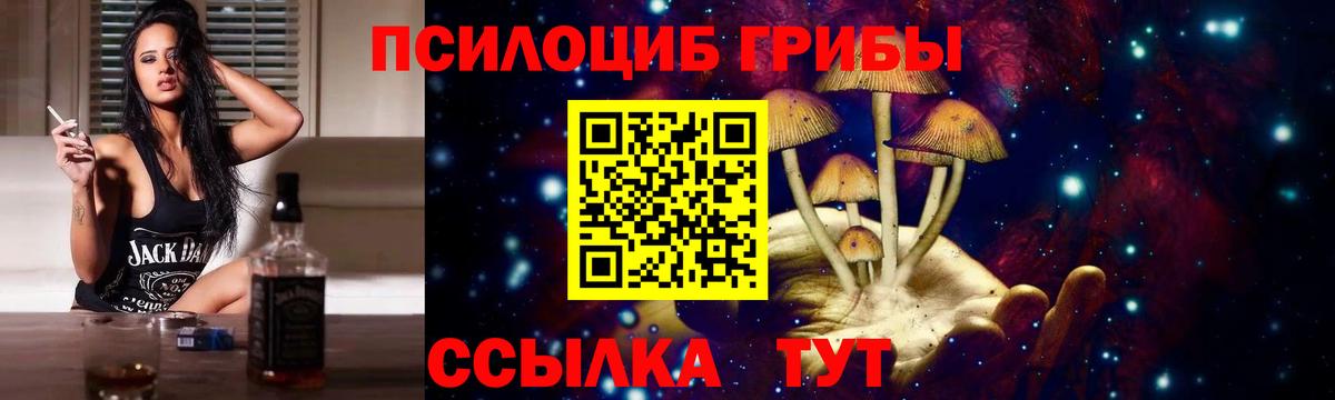 Дзержинский  Псилоцибиновые грибы Cubensis  Вход с VPN 